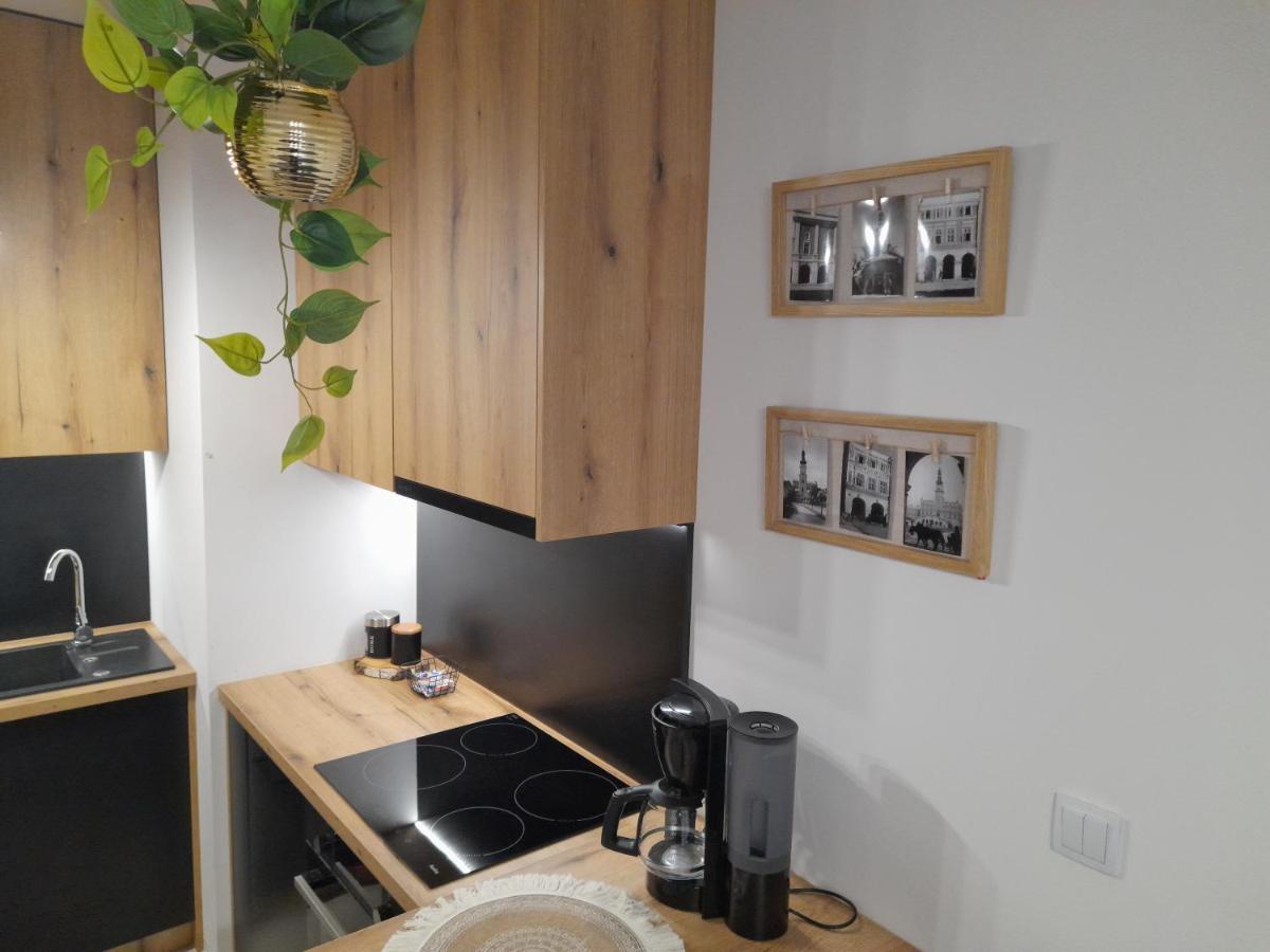 Apartament Amelia Zamość Exteriér fotografie
